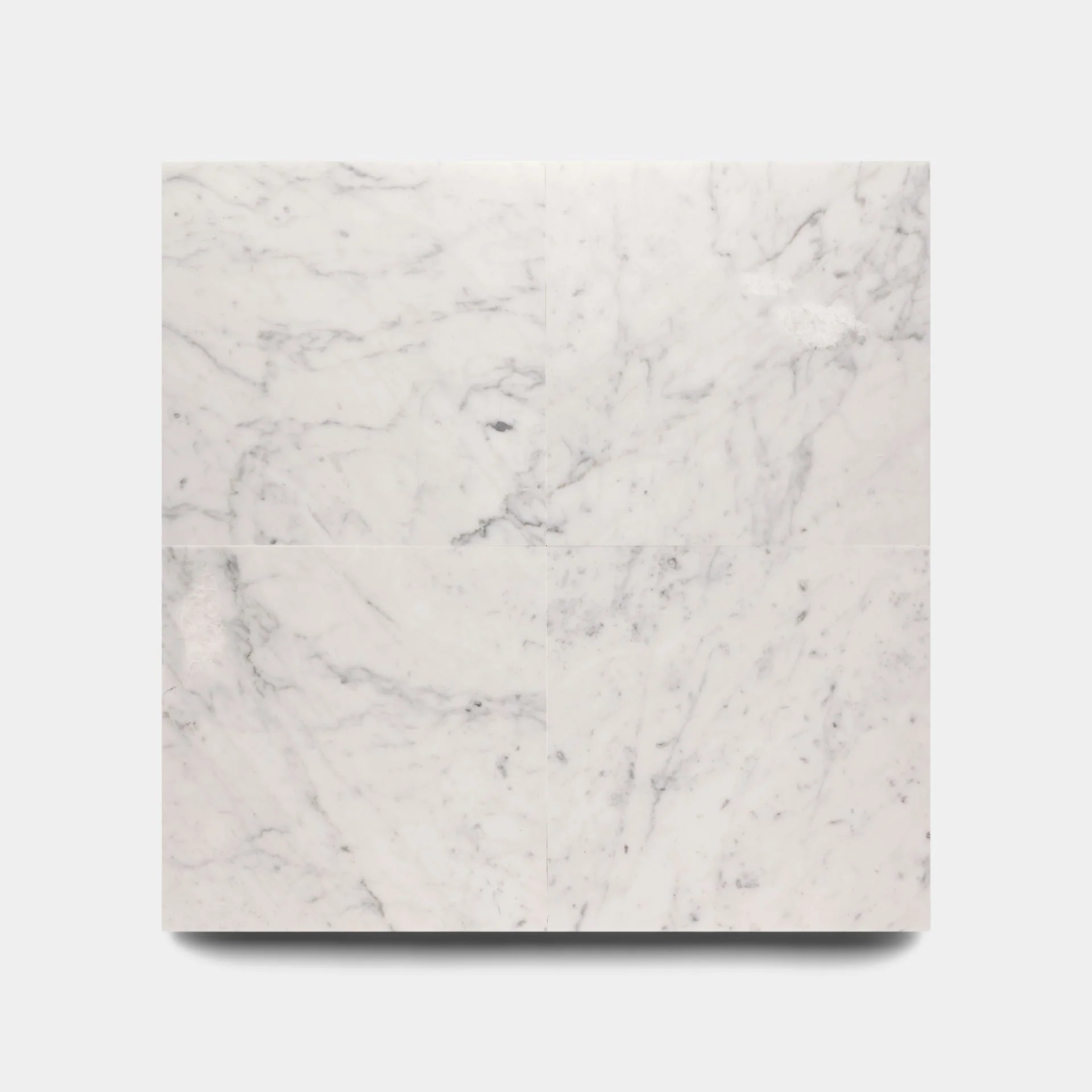 Carrara 12x12 - Storm Tile LLC